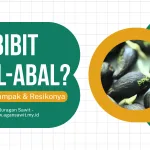 Dampak Ekonomi Jangka Panjang Akibat Penanaman Sawit Dengan Bibit Abal-Abal