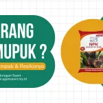 Efek Jangka Pendek Dan Jangka Panjang Dari Tidak Memupuk Pada Tanaman Sawit