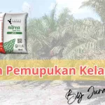 Cara Tepat Memilih Pupuk Kelapa Sawit: Panduan Sederhana Untuk Pemula