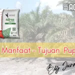 Pupuk Kapur (Mg): Definisi, Manfaat, Dan Dampaknya Pada Produktivitas Sawit