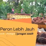 Kenali Peran Pengepul Sawit: Mitra Strategis Petani Dalam Bisnis Perkebunan