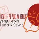 Pupuk Tunggal Vs Pupuk Majemuk: Mana Yang Lebih Baik Untuk Produktivitas Sawit?