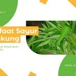 Kangkung: Sayuran Bergizi Dan Manfaatnya Bagi Kesehatan Tubuh