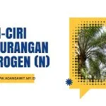 Ciri-Ciri Fisik Tanaman Sawit Yang Mengalami Kekurangan Nutrisi Nitrogen