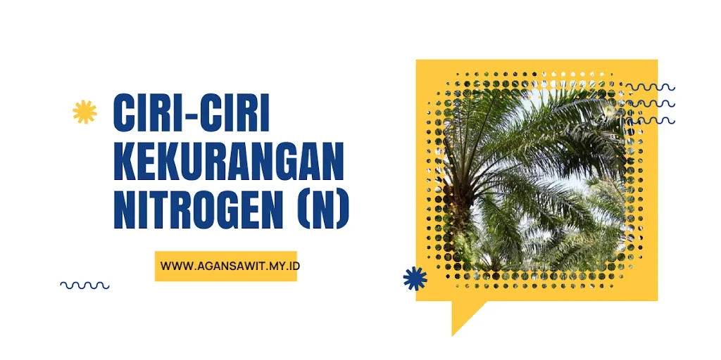 Ciri-Ciri Fisik Tanaman Sawit Yang Mengalami Kekurangan Nutrisi Nitrogen