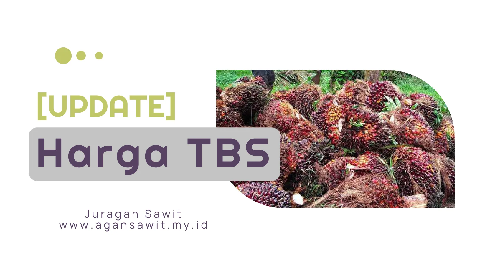 [Update] Harga Tbs Petani Di Peron Dan Pabrik Terbaru