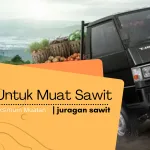 Memahami Kapasitas Muatan Sawit Pada Pickup L300 Euro 4