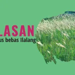 Mengapa Kebun Sawit Harus Bebas Ilalang: 5 Alasan Utama